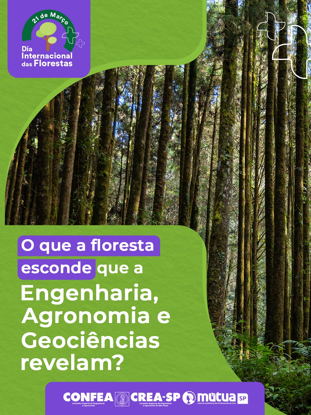 1-repost-creasp-02193921301203102312031231