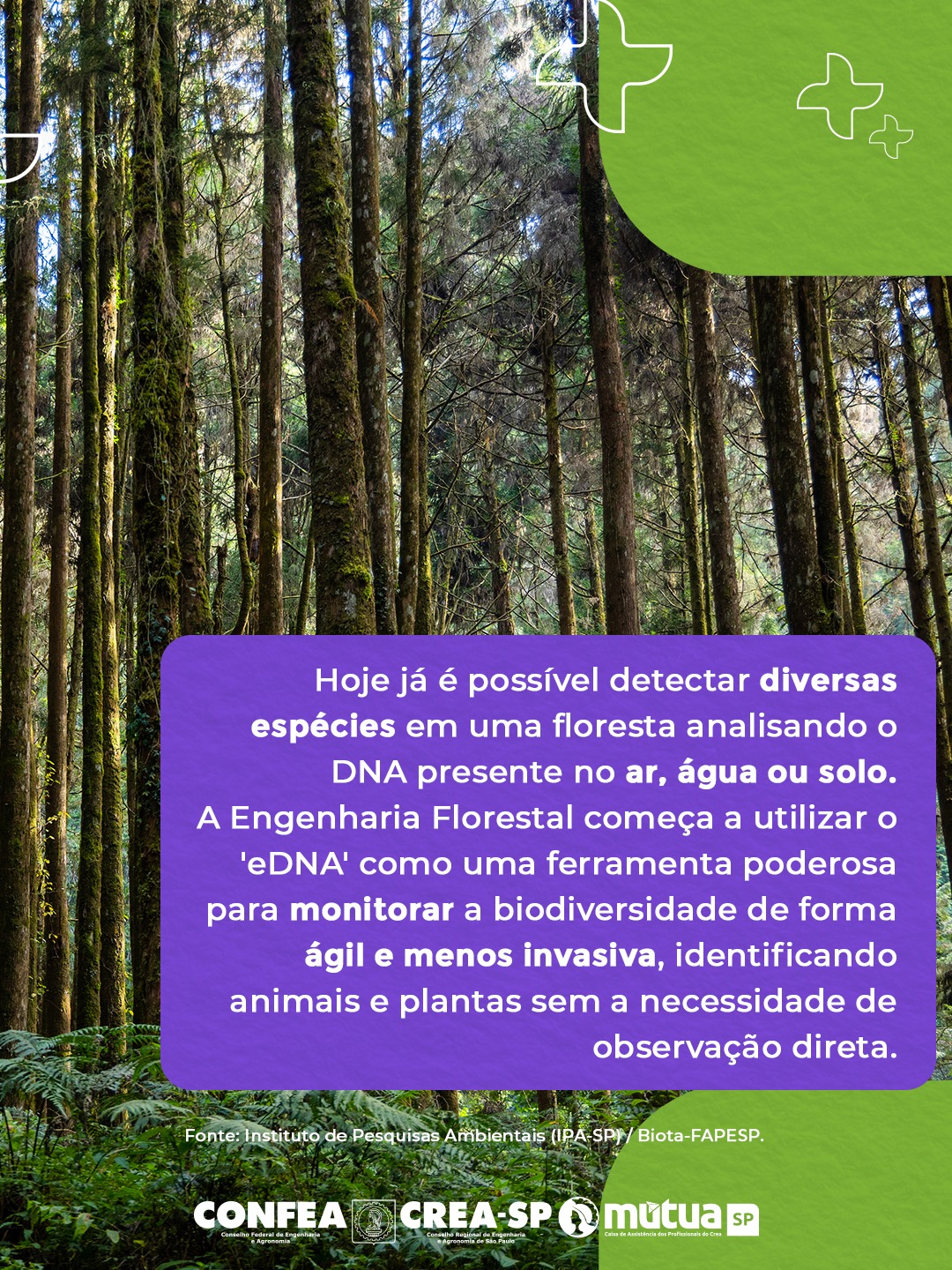 2-repost-creasp-02193921301203102312031231