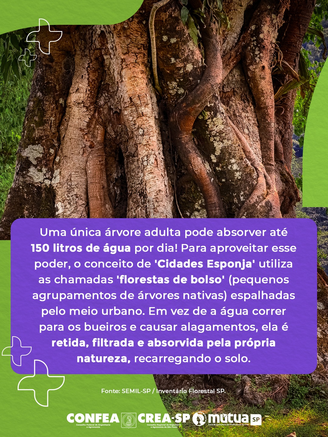 4-repost-creasp-02193921301203102312031231